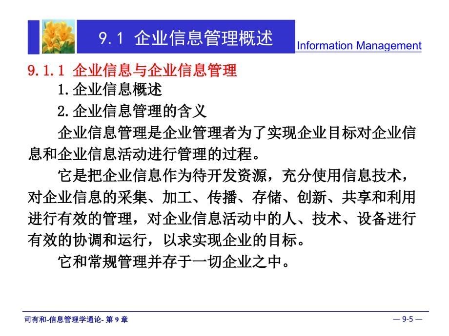 信息管理学通论 教学课件 ppt 作者 司有和 第09章_第5页