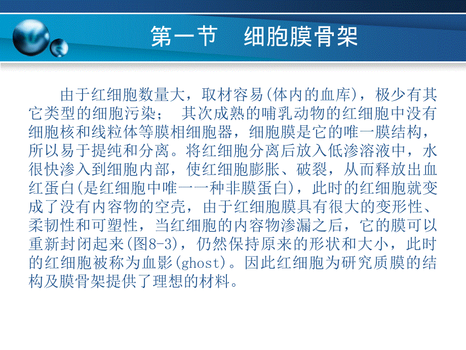 细胞生物学基础 教学课件 ppt 作者 员冬梅 主编 李晓文 主审第八章_第3页