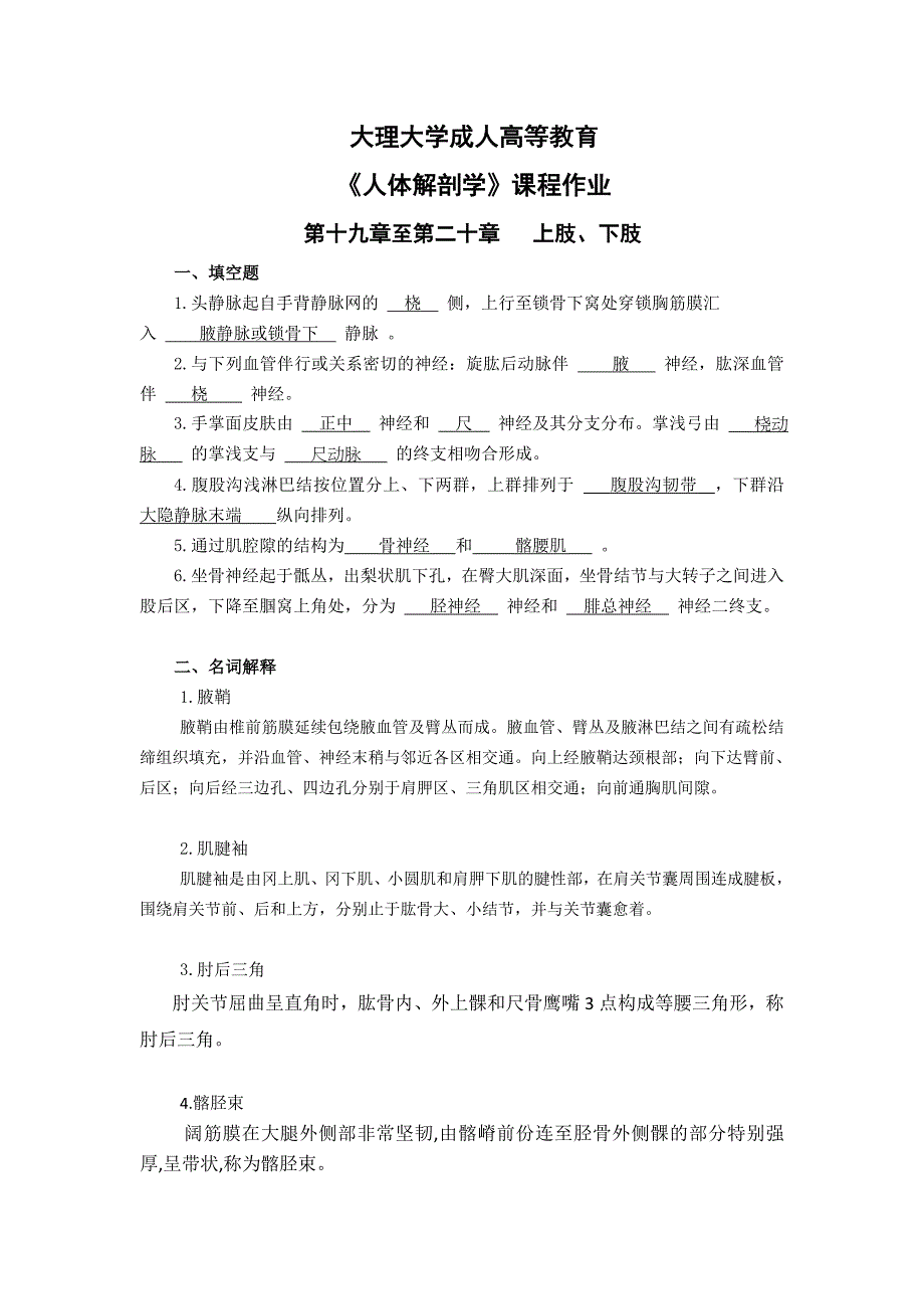 16-本-护理、临床-《人体解剖学》平时作业资料_第1页