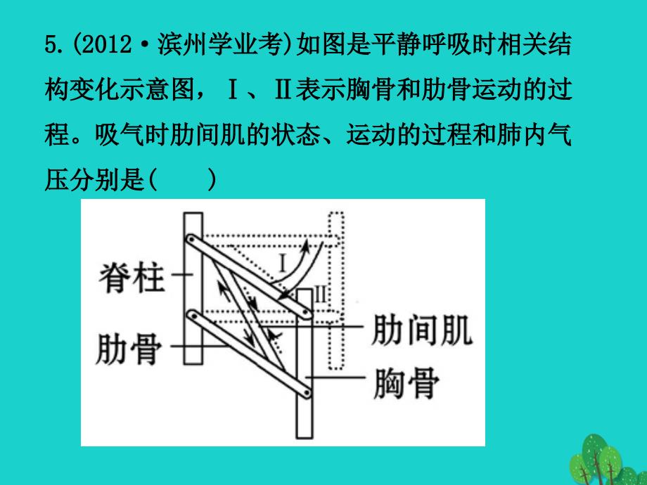 山东省邹平县实验中学七年级生物下册_3.3.3 物质运输的途径课件 （新版）济南版_第3页