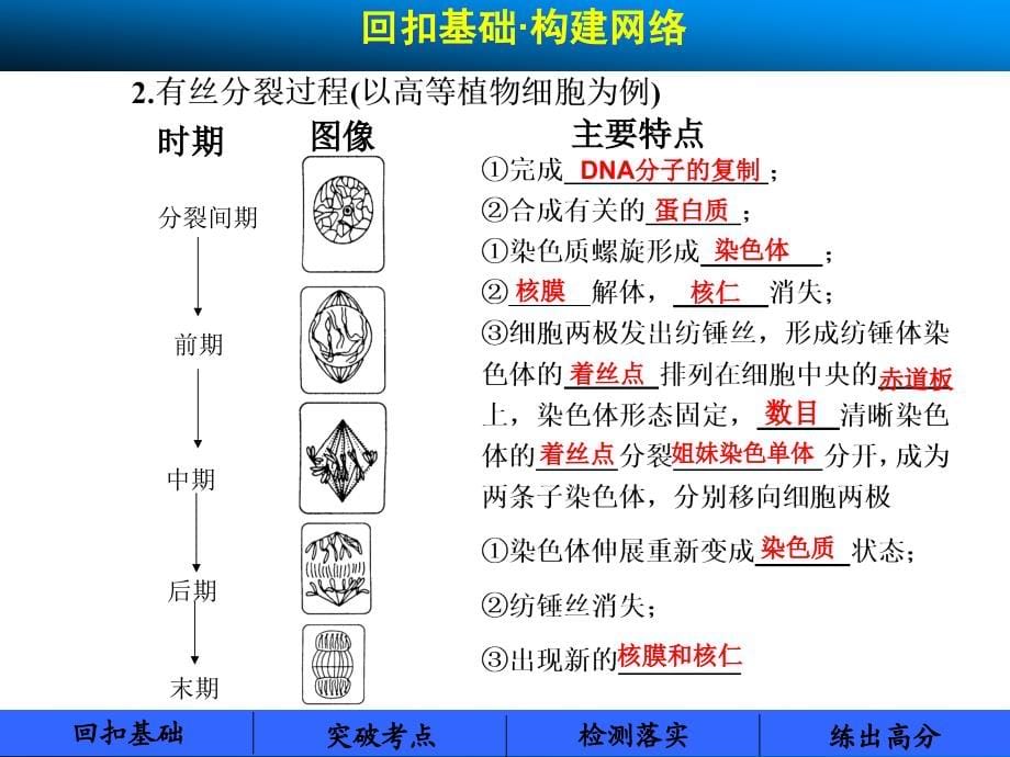 复习课件第三单元第七课时_第5页