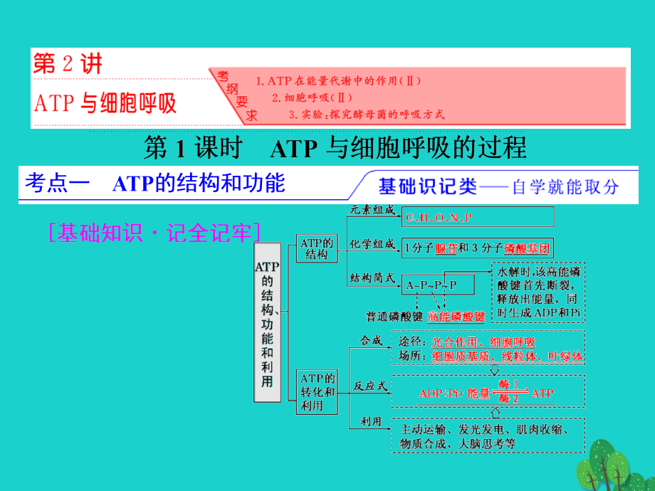 练酷版高考生物一轮复习_第三单元 细胞的能量供应和利 第2讲 atp与细胞呼吸（第1课时）atp与细胞呼吸的过程课件（必修1）_第2页