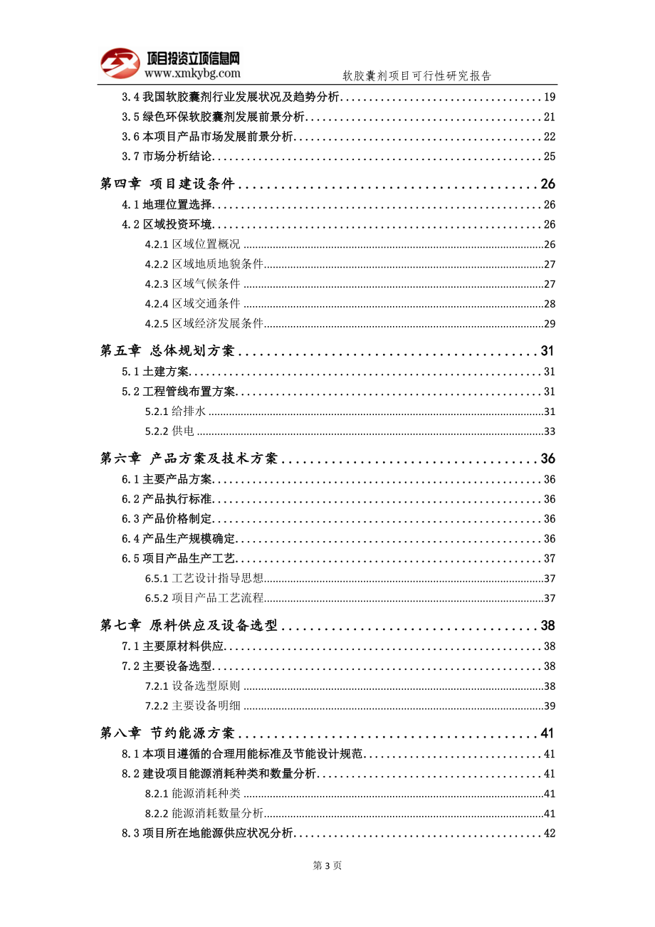 软胶囊剂项目可行性研究报告（备案实用案例）_第4页