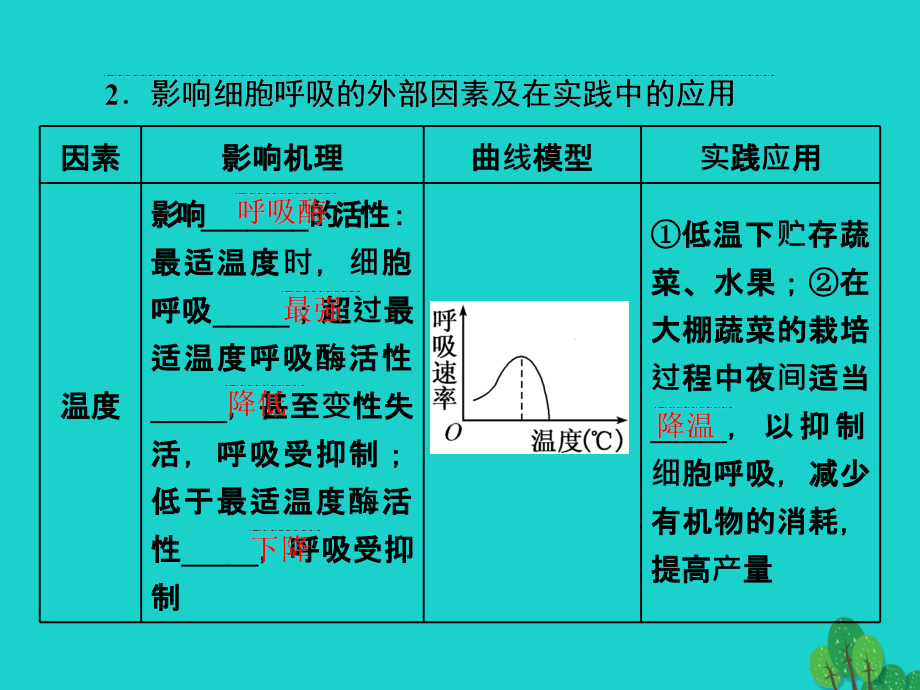 练酷版高考生物一轮复习_第三单元 细胞的能量供应和利 第2讲 atp与细胞呼吸（第2课时）影响细胞呼吸的因素课件（必修1）_第3页