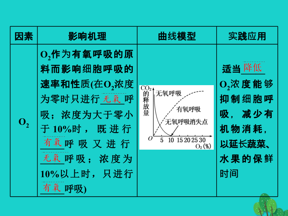 练酷版高考生物一轮复习_第三单元 细胞的能量供应和利 第2讲 atp与细胞呼吸（第2课时）影响细胞呼吸的因素课件（必修1）_第4页