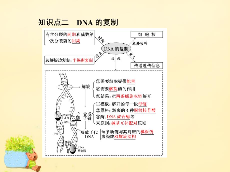 高三生物一轮复习_第二单元 基因的本质与表达 第二讲 dna分子的结构、复制与基因的本质课件（必修2）_第4页