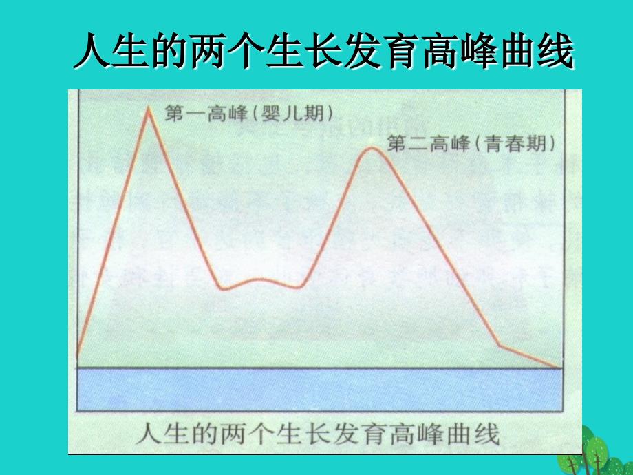 七年级生物下册_第四单元 第一章 第三节 青春期课件（2）（新版）新人教版_第2页