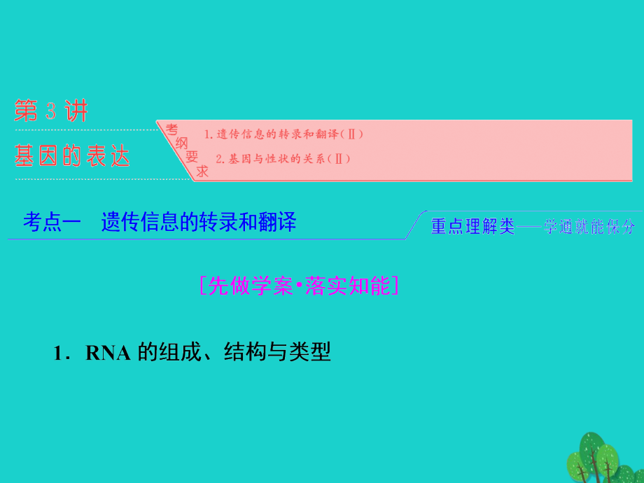 练酷版高考生物一轮复习_第二单元 基因的本质与表达 第3讲 基因的表达课件（必修2）_第2页