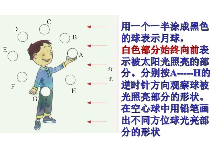 新教材七年级下科学 浙教版 4 .4 月相课件_第5页