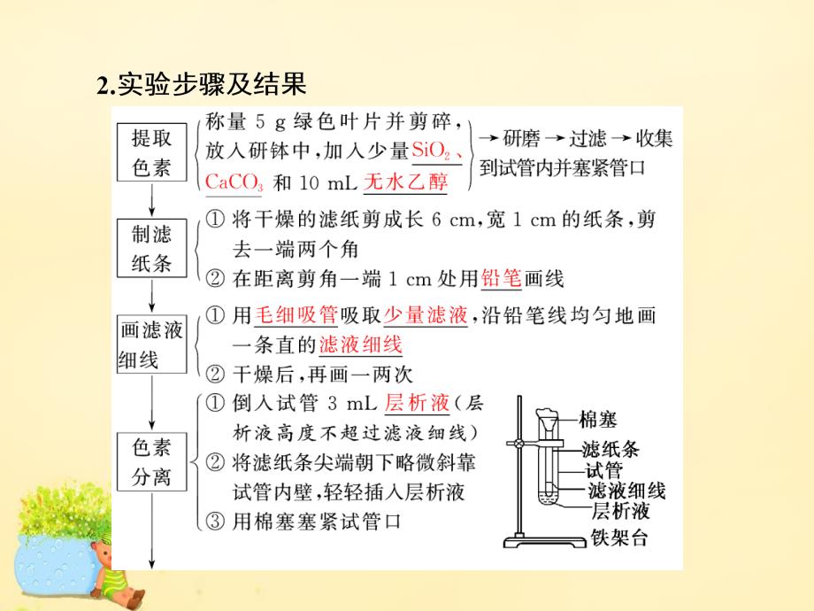 高三生物一轮复习_第三单元 细胞的能量供应和利用 第三讲 能量之源-光与光合作用（第1课时）绿叶中色素的提取和分离（实验课）课件（必修1）_第2页