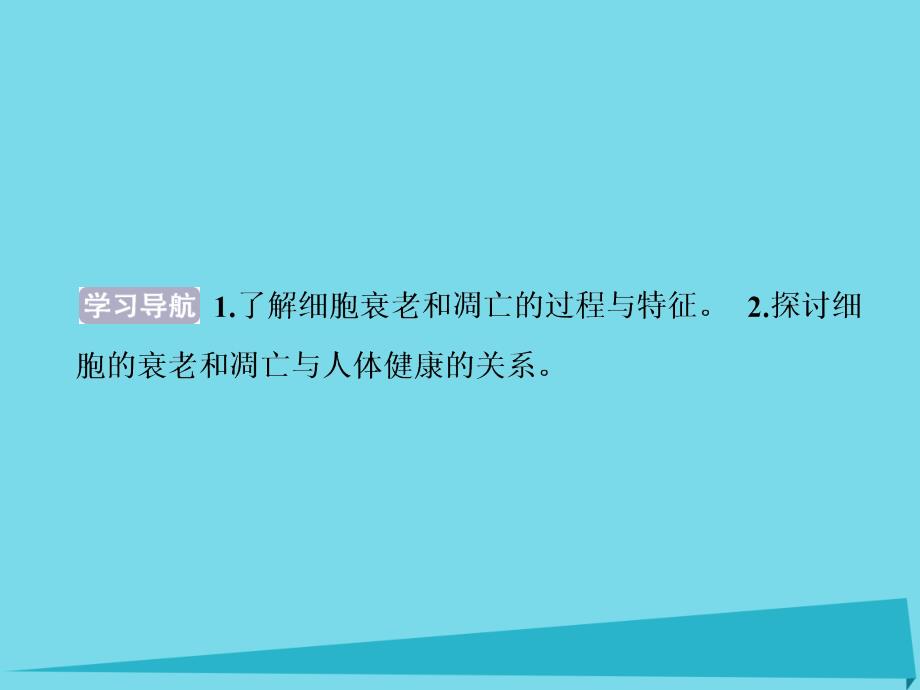 优化方案高中生物_第五章 细胞增殖、分化、衰老和凋亡 第二节 细胞分化、细胞衰老和调亡（第2课时）细胞的衰老和调亡课件 苏教版必修1_第2页