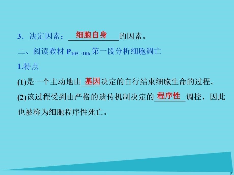 优化方案高中生物_第五章 细胞增殖、分化、衰老和凋亡 第二节 细胞分化、细胞衰老和调亡（第2课时）细胞的衰老和调亡课件 苏教版必修1_第5页