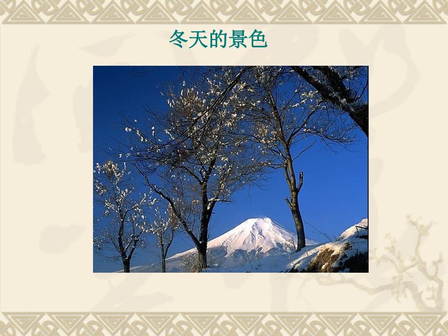 北京版六年级语文上册课件松坊溪的冬天2课件_第2页