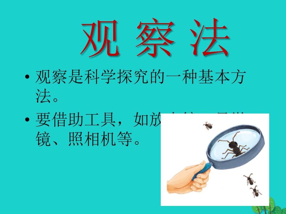 七年级生物上册_第一单元 第一章 第一节 生物的特征课件 （新版）新人教版_第3页