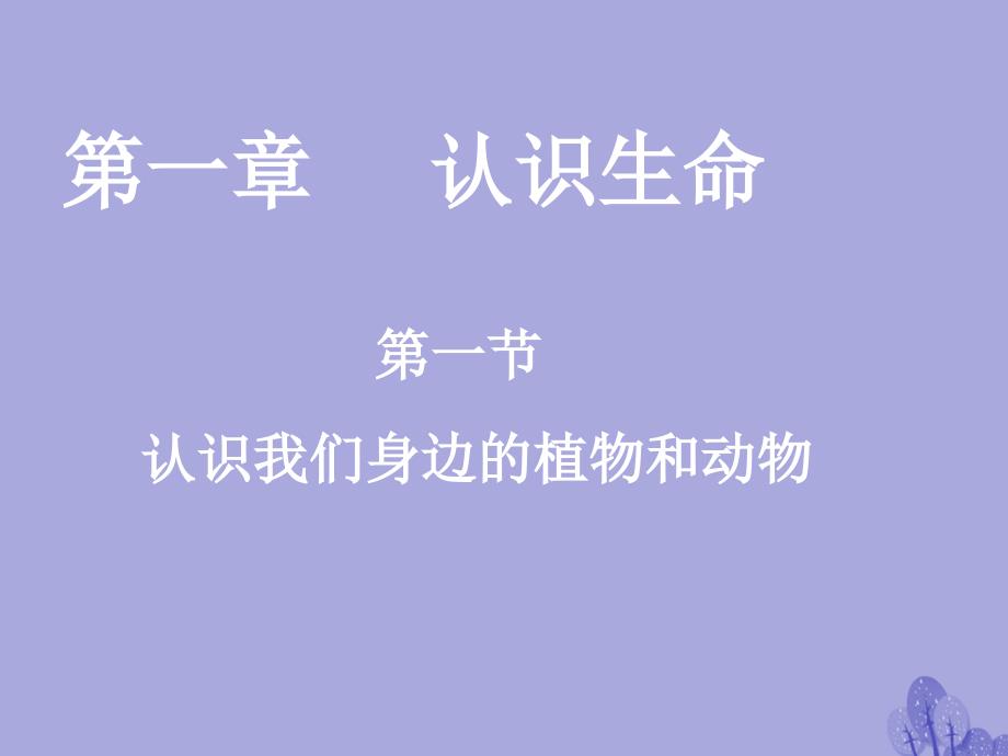 七年级生物上册_第一章 第一节 认识我们身边的植物和动物课件 （新版）北京版_第3页