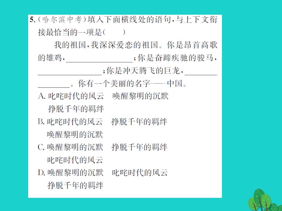 《》九年级语文上册_第五单元 19《开国大典（节选）》课件 语文版_第4页