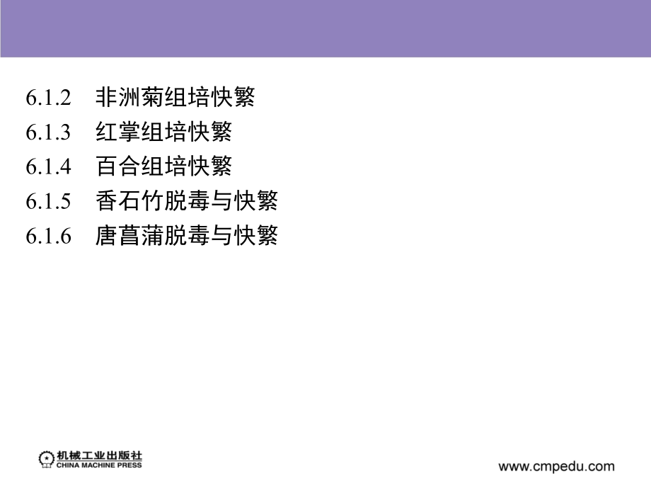 植物组织培养技术 教学课件 ppt 作者 刘弘 5_第3页