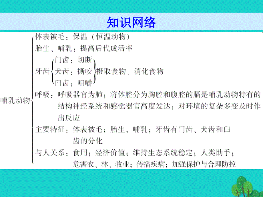 广东省八年级生物上册_第五单元 第1章 第7节 哺乳动物导练课件 （新版）新人教版_第2页