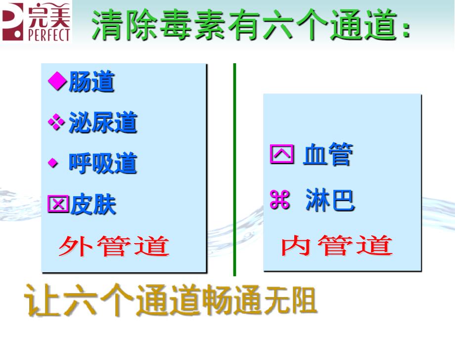 六大排毒 通道 课件_第2页