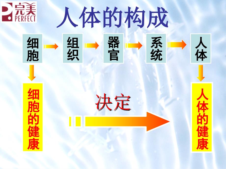 六大排毒 通道 课件_第3页