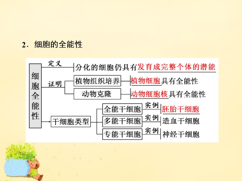 高三生物一轮复习_第四单元 细胞的生命历程 第四讲 细胞的分化、衰老、凋亡和癌变课件（必修1）_第2页