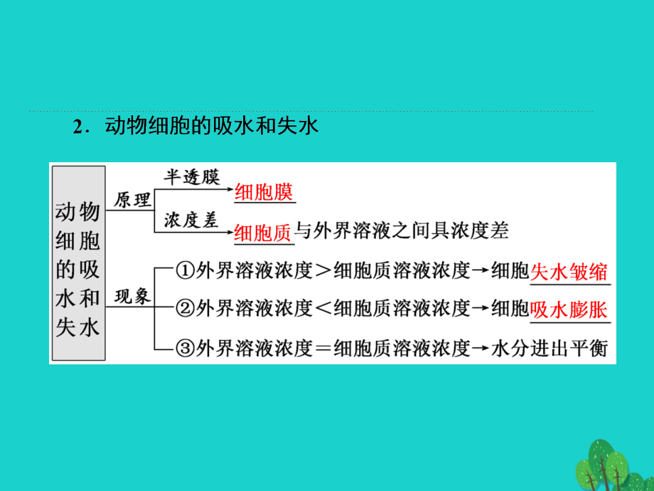 练酷版高考生物一轮复习_第二单元 细胞的结构与物质的输入和输出 第3讲 物质跨膜运输的实例与方式课件（必修1）_第3页