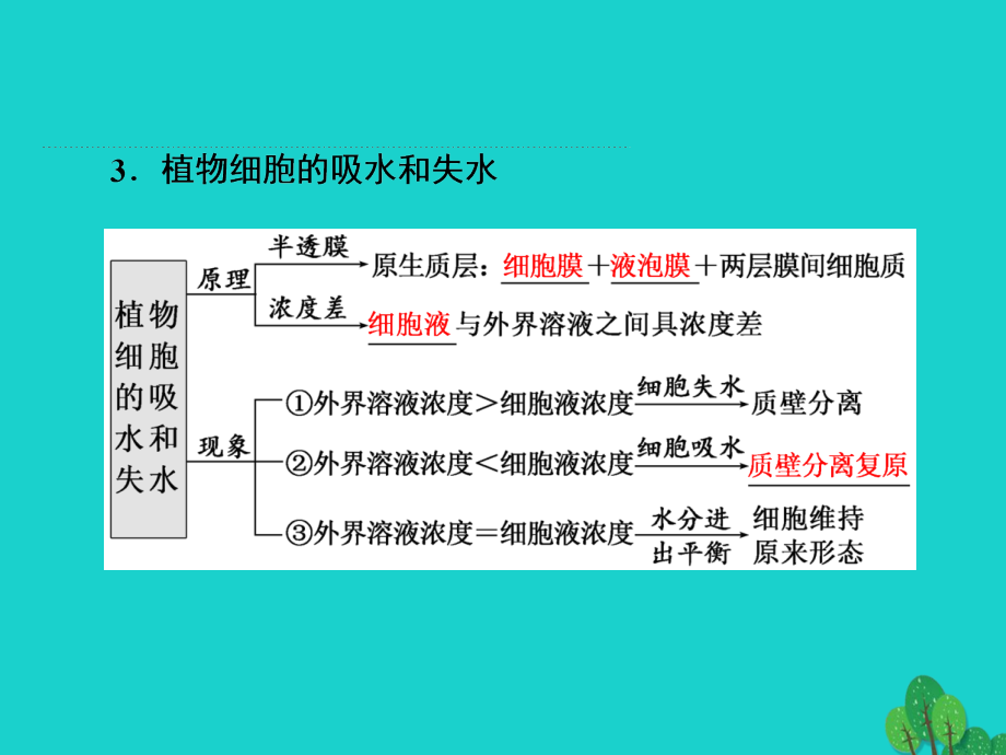 练酷版高考生物一轮复习_第二单元 细胞的结构与物质的输入和输出 第3讲 物质跨膜运输的实例与方式课件（必修1）_第4页