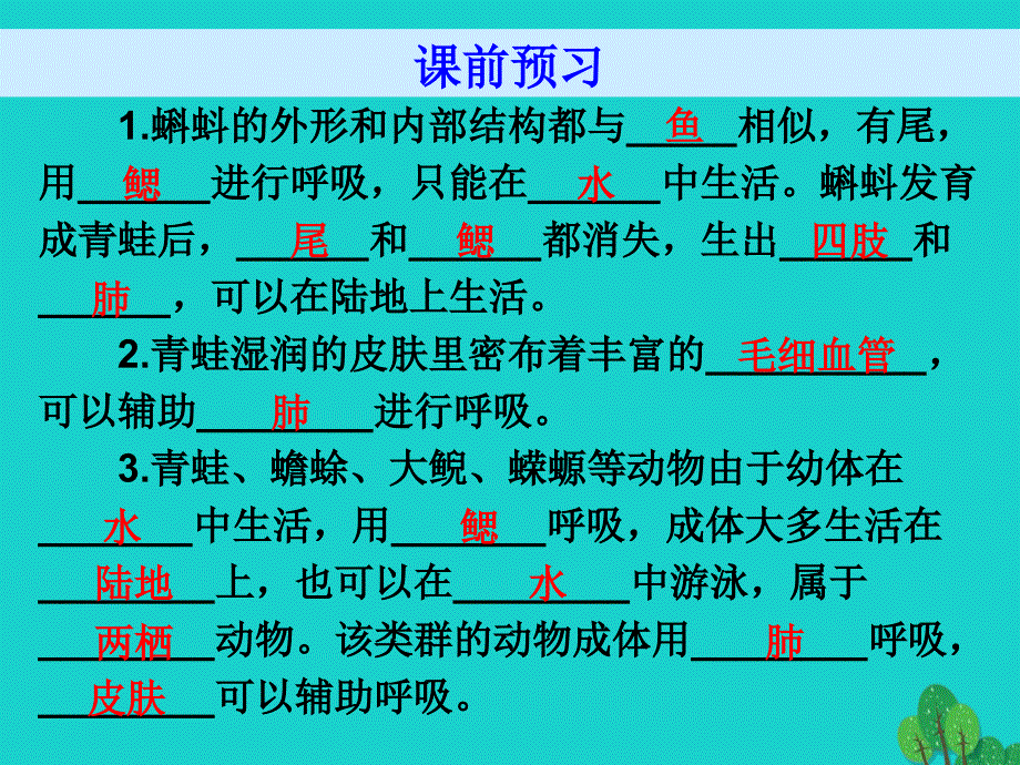 广东省八年级生物上册_第五单元 第1章 第5节 两栖动物和爬行动物导练课件 （新版）新人教版_第4页