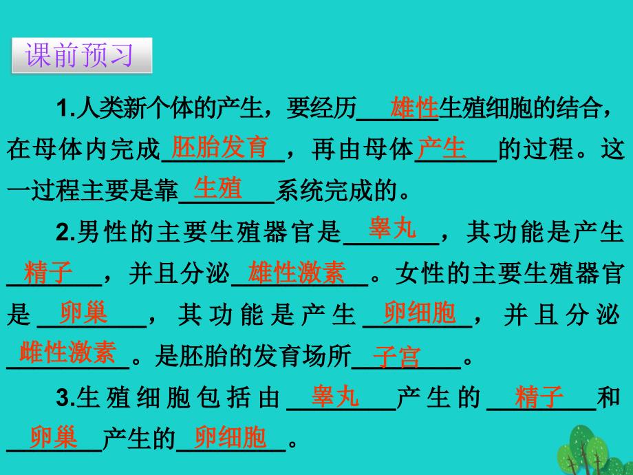 广东省七年级生物下册_第1章 第二节 人的生殖导练课件 （新版）新人教版_第3页