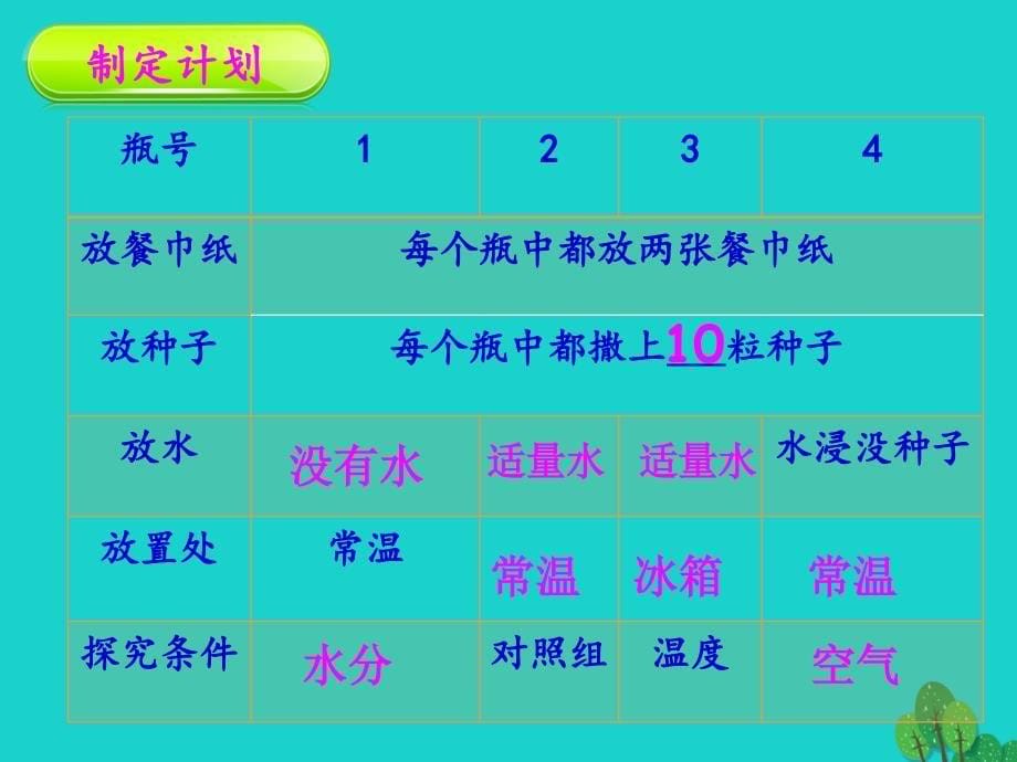 内蒙古鄂尔多斯市康巴什新区第二中学八年级生物下册_第一轮复习 七 被子植物的一生课件 新人教版_第5页