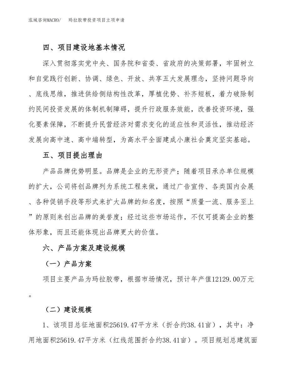 玛拉胶带投资项目立项申请模板.docx_第3页