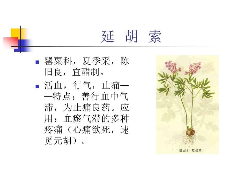 复制中药学课件第十二章活血祛瘀药_第5页