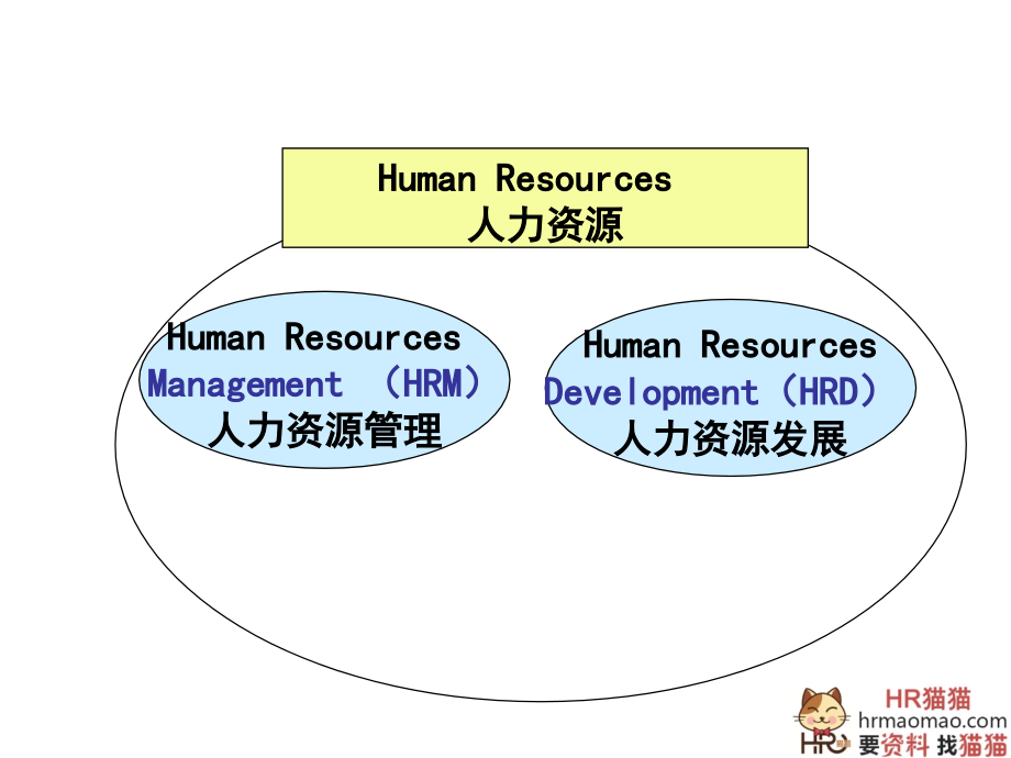 企业培训年度规划和培训体系建设-HR猫猫课件_第4页