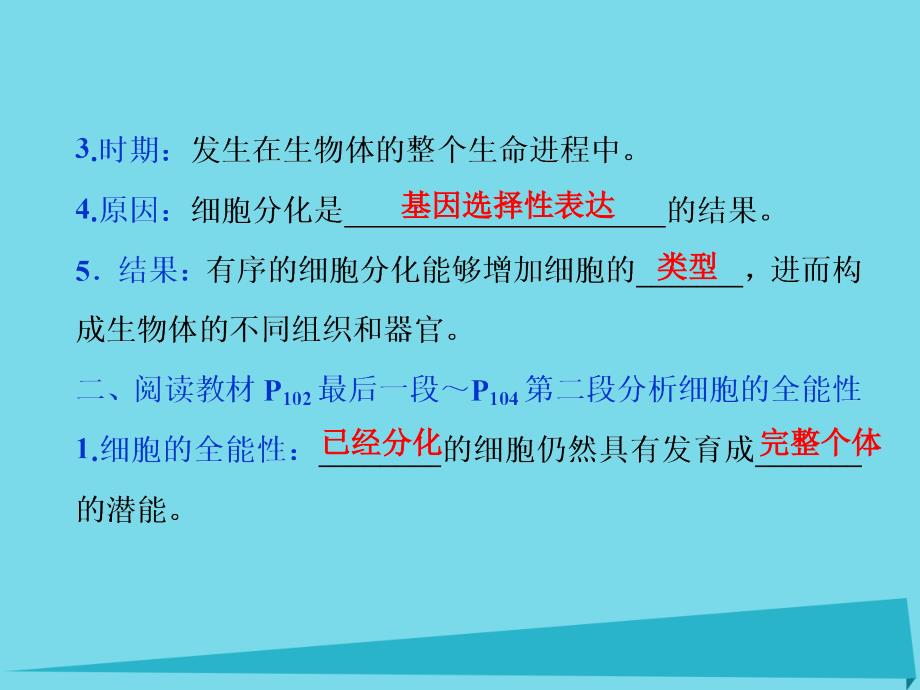 优化方案高中生物_第五章 细胞增殖、分化、衰老和凋亡 第二节 细胞分化、细胞衰老和调亡（第1课时）细胞分化 细胞的全能性课件 苏教版必修1_第4页