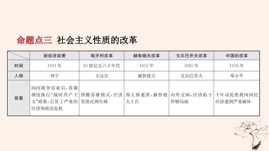 山东省济宁市2019年中考历史专题复习_专题六 中外历史上的重大改革课件_第5页