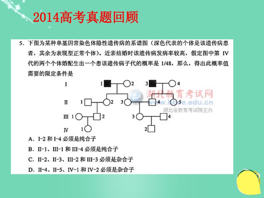 湖北省黄冈市高中生物二轮复习《遗传的基本规律》说课比赛课件2_第4页