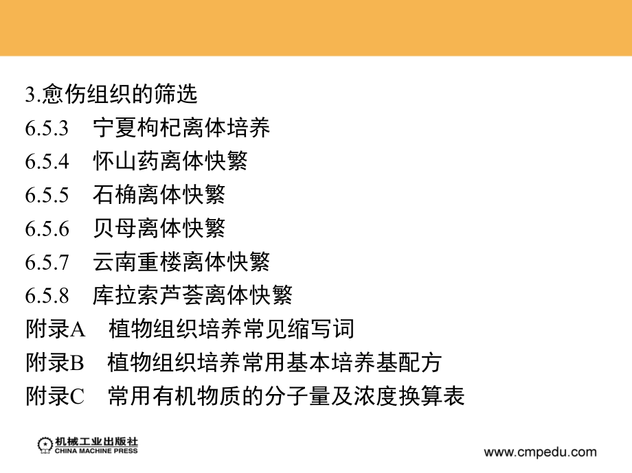 植物组织培养技术 教学课件 ppt 作者 刘弘 6-5_第2页