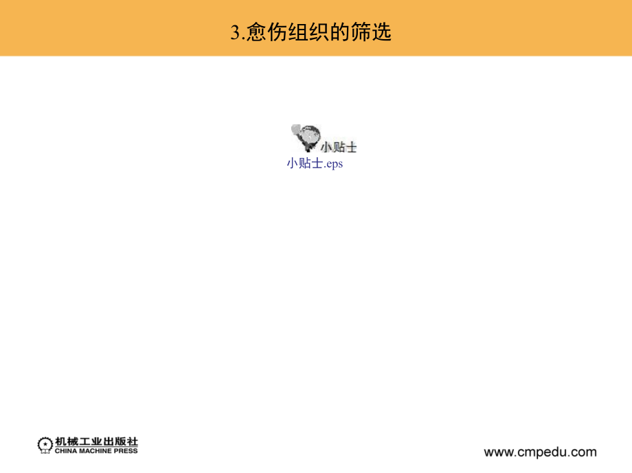 植物组织培养技术 教学课件 ppt 作者 刘弘 6-5_第4页