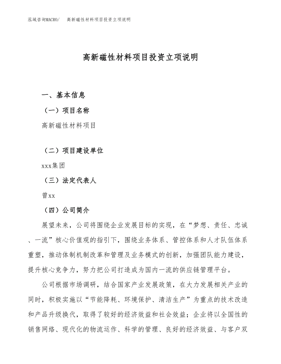 高新磁性材料项目投资立项说明.docx_第1页