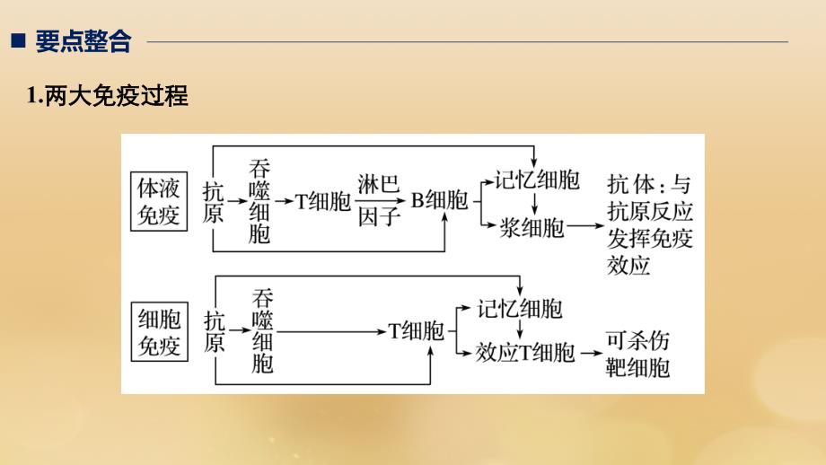 （全国通用版）2019高考生物二轮复习_专题五 生命活动调节 考点4 免疫调节课件_第2页