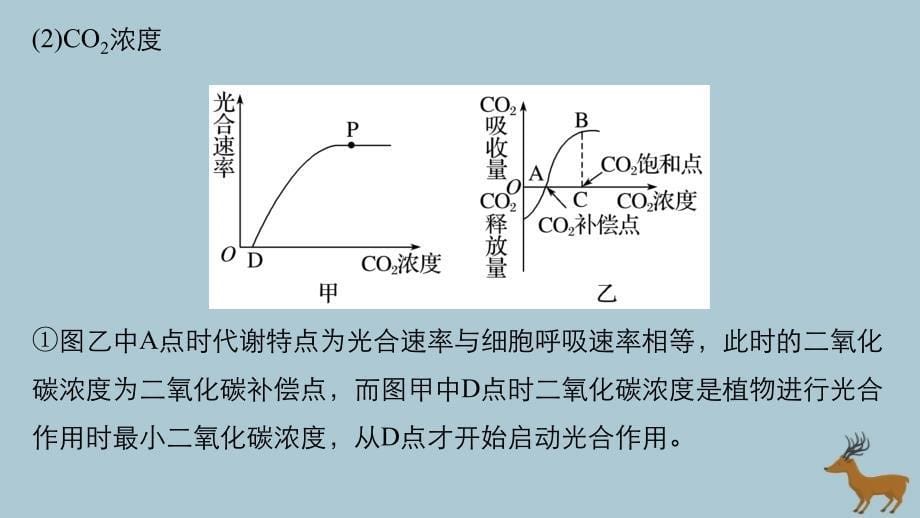 （江苏专版）2019版高考生物二轮增分策略_专题二 细胞代谢 考点6 影响光合作用和细胞呼吸的因素课件_第5页