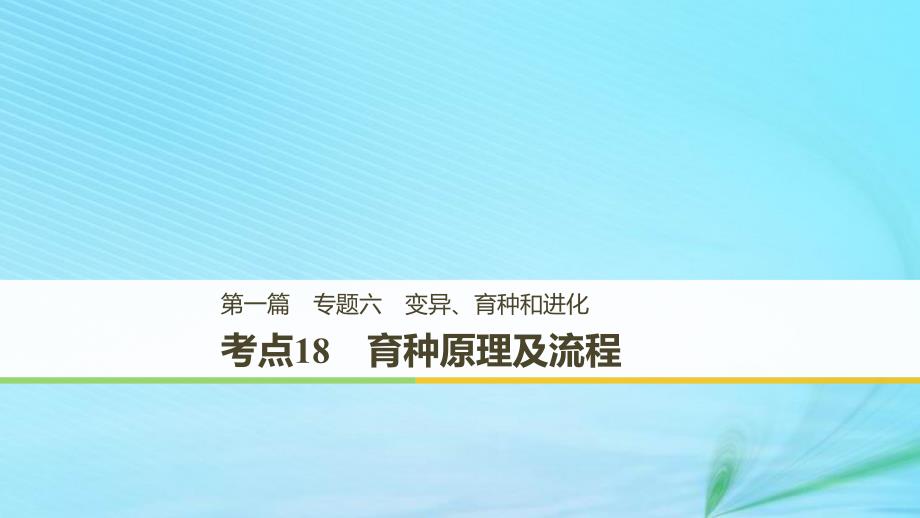 （江苏专用）2019高考生物二轮复习_专题六 变异、育种和进化 考点18 育种原理及流程课件_第1页