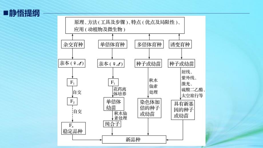 （江苏专用）2019高考生物二轮复习_专题六 变异、育种和进化 考点18 育种原理及流程课件_第2页