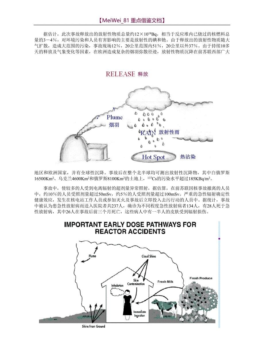 【7A文】国内外核事故与放射事故案例_第5页