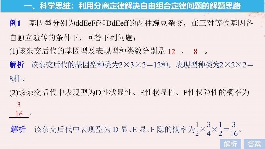 （通用版）2018-2019版高中生物_第一章 孟德尔定律 微专题二 自由组合定律的常规解题方法课件 浙科版必修2_第5页