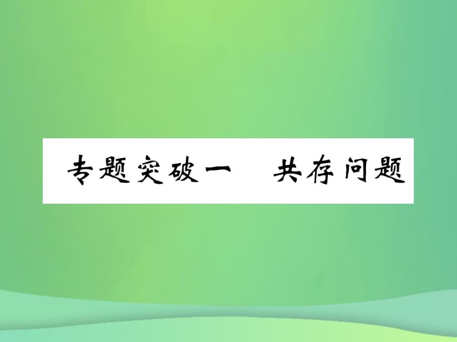 （百色专版）2019届中考化学毕业总复习_第2编 重点专题突破篇 专题突破1 共存问题课件_第1页