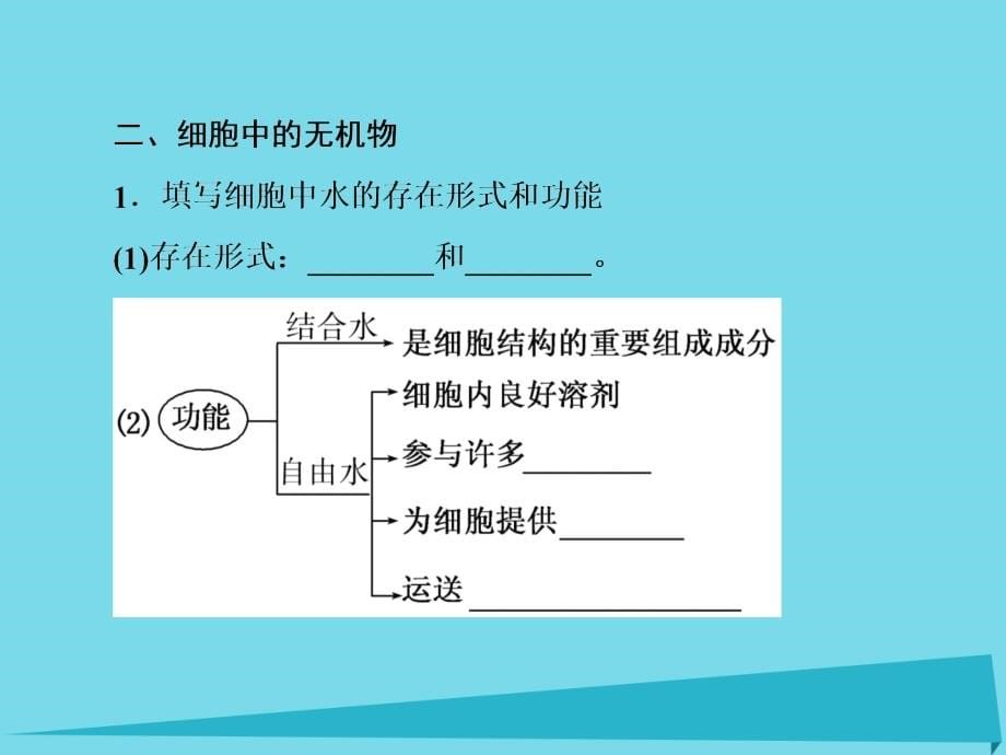 高考生物大一轮复习_第一单元 走近细胞和组成细胞的分子 第2讲 细胞中的元素和化合物　细胞中的无机物课件 新人教版_第5页