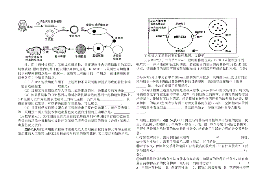 高中生物选修三测试题_第4页