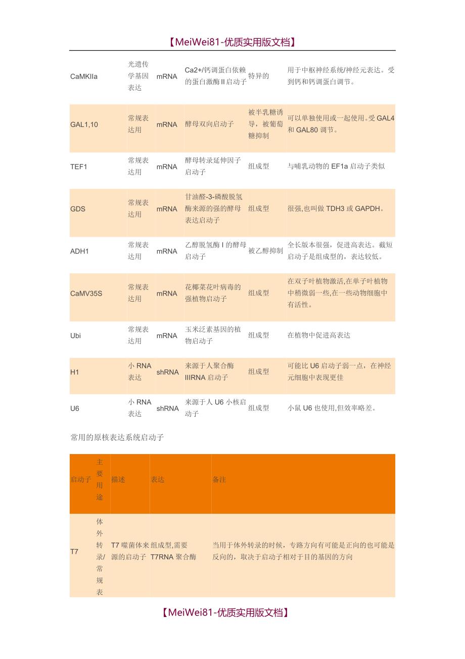 【8A版】常见真核启动子及原核启动子特点_第2页