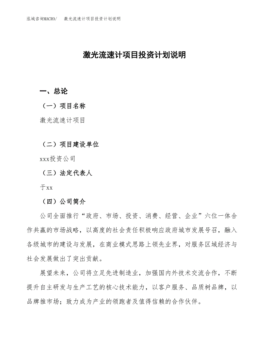 激光流速计项目投资计划说明.docx_第1页